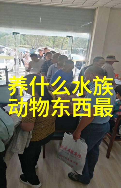 金鱼失漂是为什么怎么治疗 不要迅速的改变温度