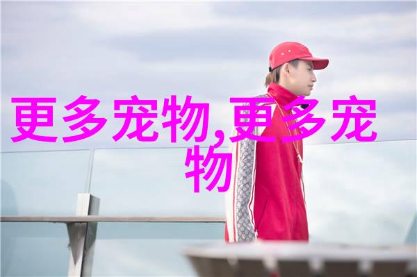 巴哥犬性格特点是什么