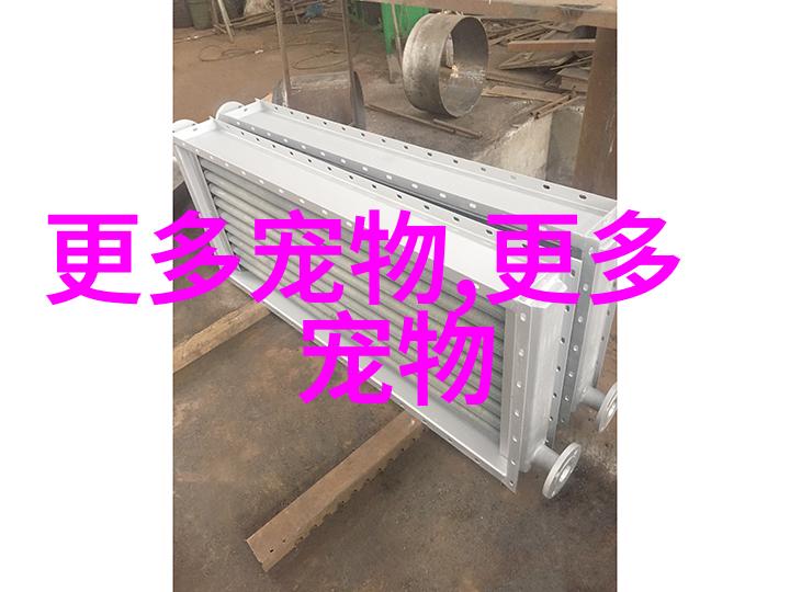 牡丹鹦鹉怎么训练