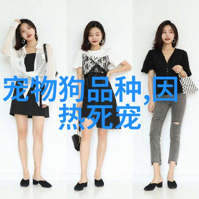 2个月的小狗突然消瘦