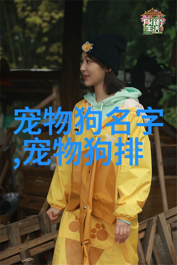 哈士奇俊俏美少年 洗澡时应注意什么