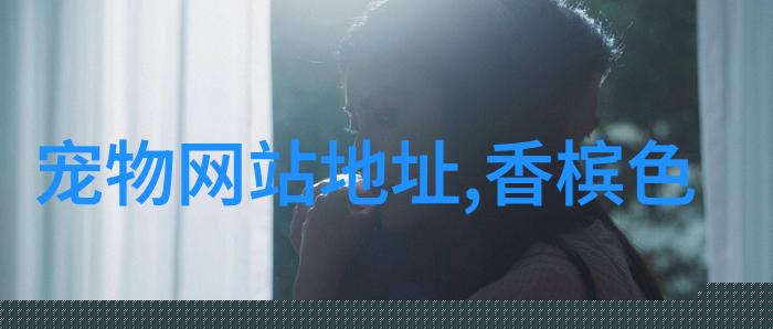 秋田犬和柴犬的区别 别傻傻分不清