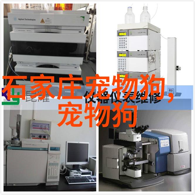 训练狗不叫的方法