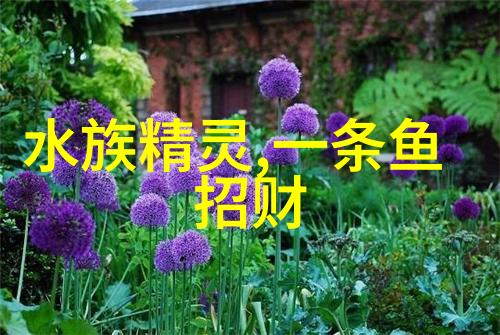 观赏鱼缺乏维生素会引起哪些疾病