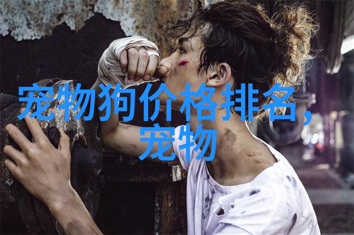 用这个神器为宠物拍肖像照 再也不怕拍糊了