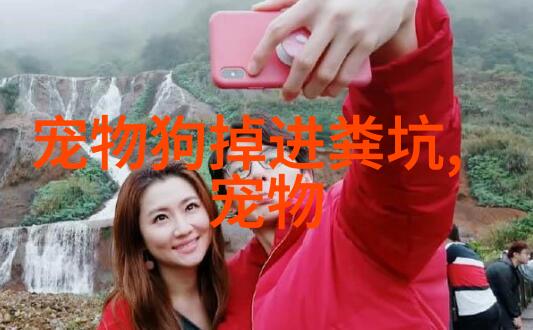 贵宾犬便秘怎么办贵宾犬便秘治疗常用方法