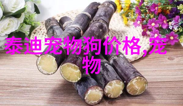 20多天的小狗怎么喂养