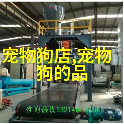 如何引导发情期的狗狗完成交配几岁的狗可以生宝宝