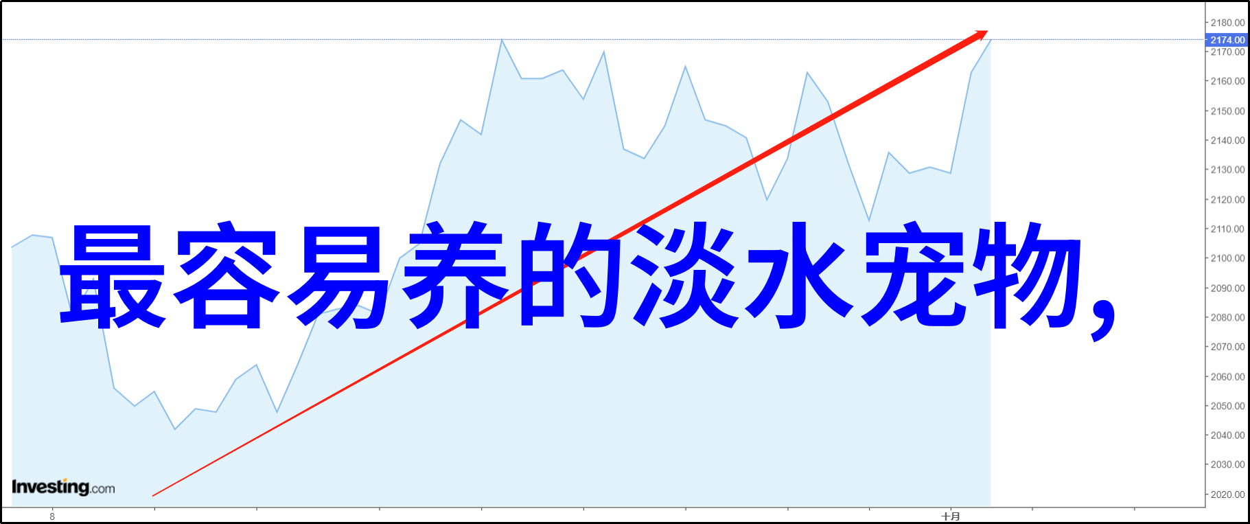 观赏鱼勤换水真的好吗多久换一次水比较好