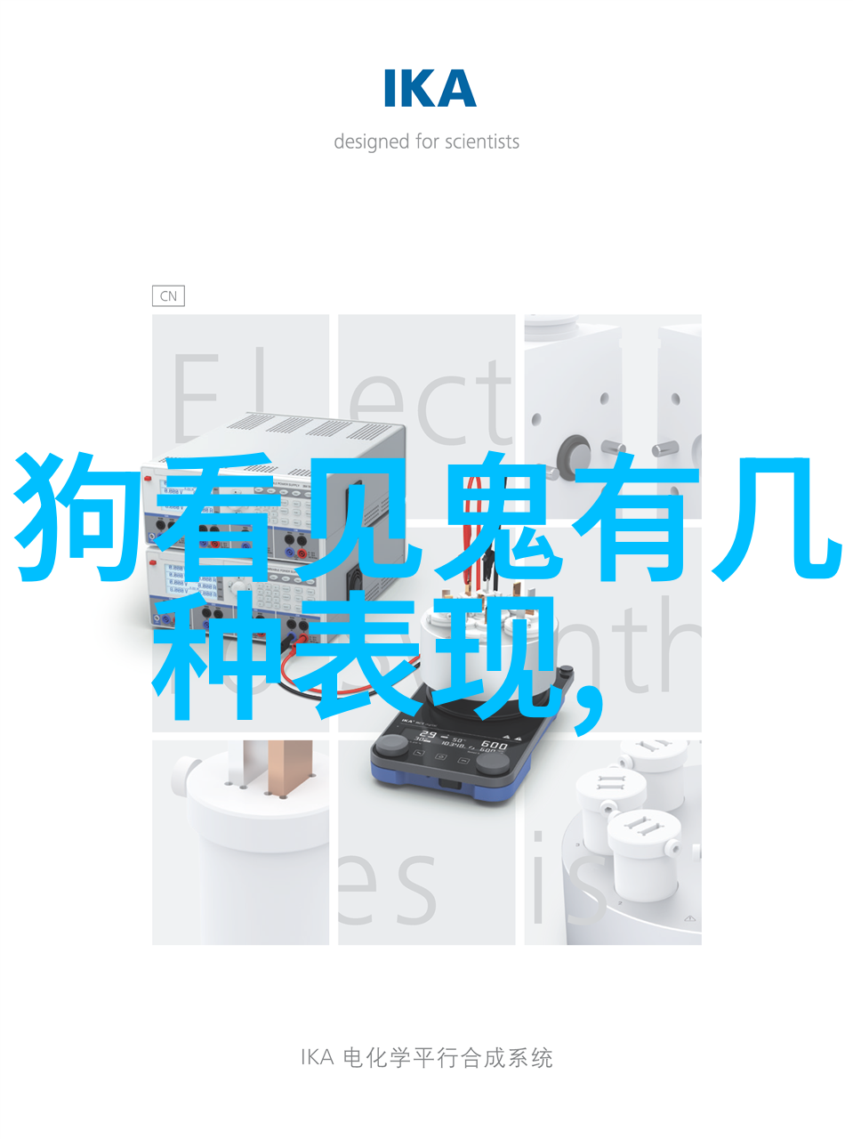 花鮨鱼如何饲养花鮨鱼饲养指南