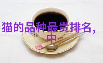 猫咪为什么不拉便便猫咪不拉便便怎么办