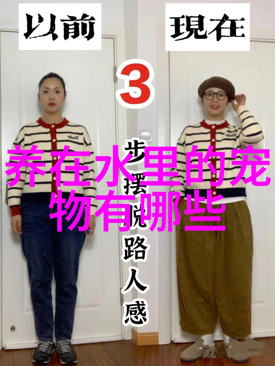 么如何才能正确饲养宝莲灯鱼宝莲灯鱼的饲养要点
