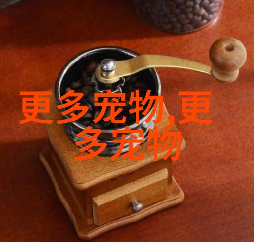 自制幼猫猫粮 营养均衡