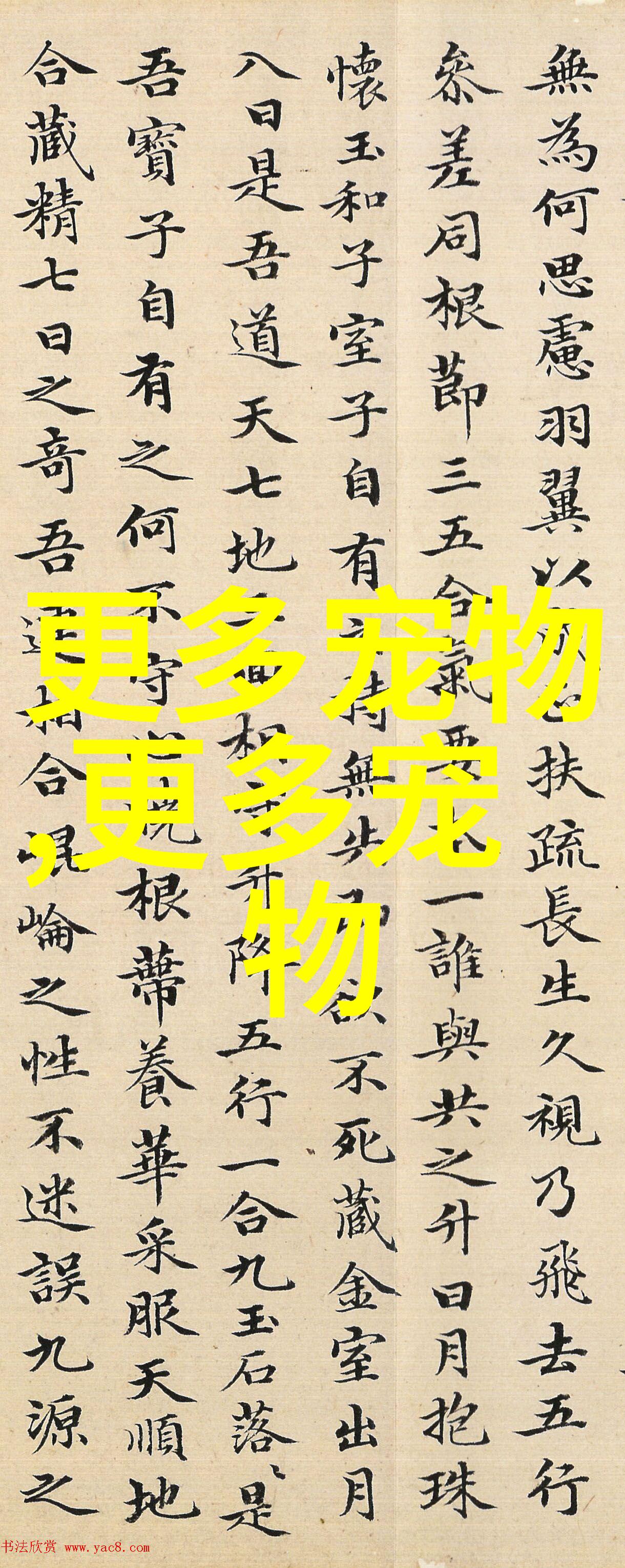 约克夏的性格特点是什么