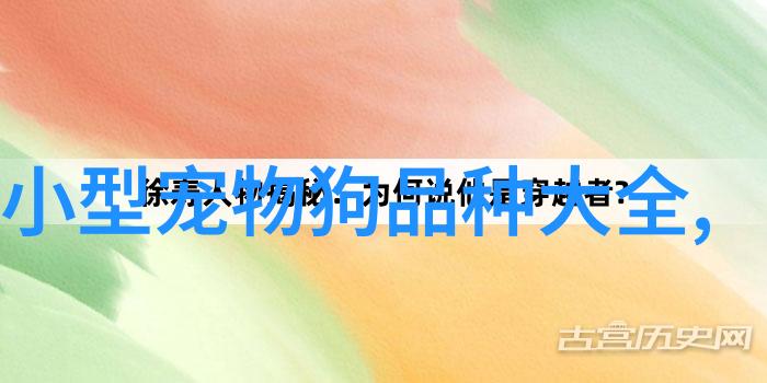 狗狗一出门就叫不回来变成撒手没 要如何训练