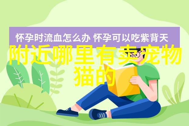 苏格兰折耳猫能活到多少岁苏格兰折耳猫的寿命