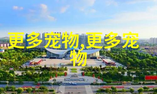 相思鸟介绍及图片 相思鸟多少钱一只