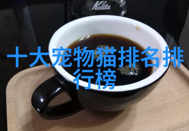 土耳其梵猫一只多少钱价格贵吗土耳其梵猫价格介绍