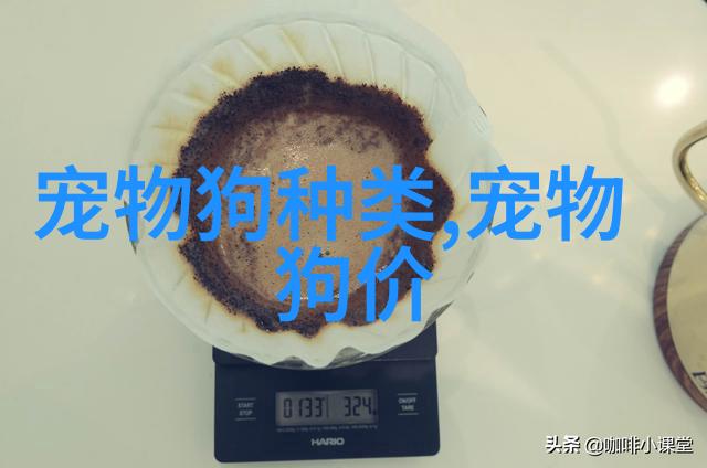 阿拉斯加雪橇犬喜欢什么玩具