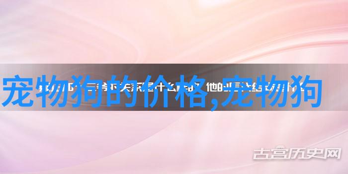 2个月的小狗晚上要喂吗