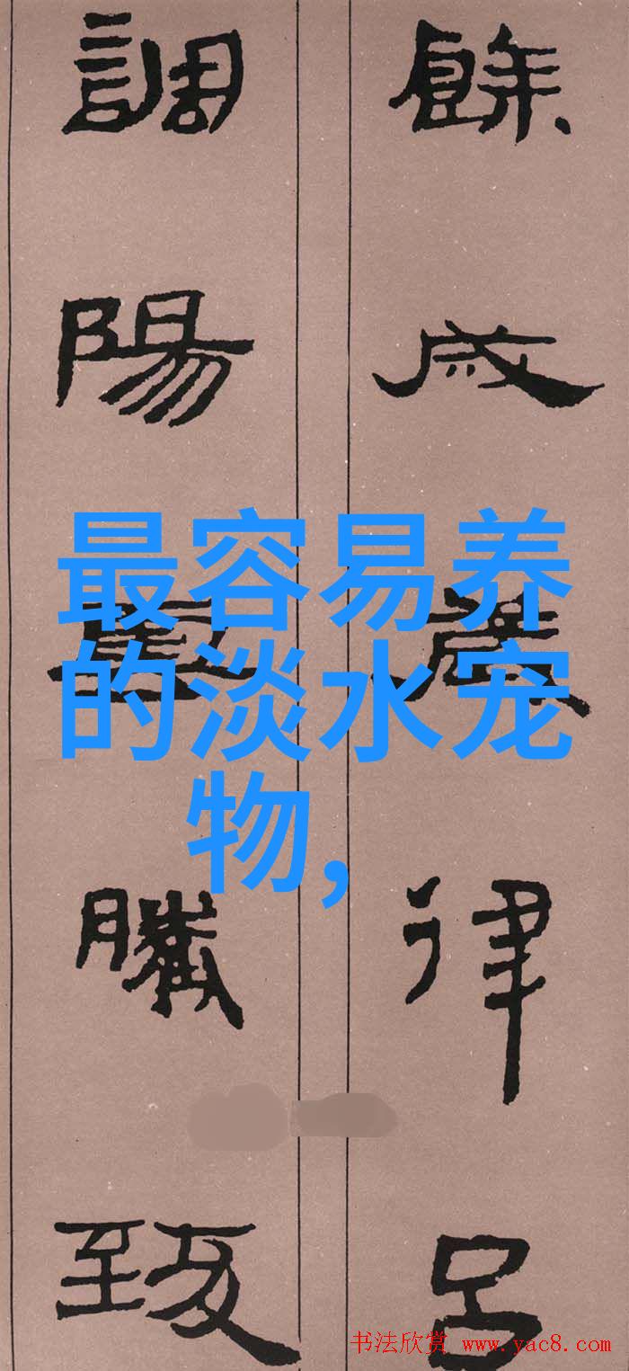高效预防鱼病的方法