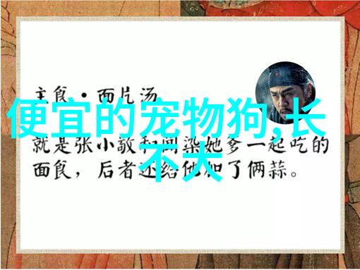 26天小狗拉稀白色透明状