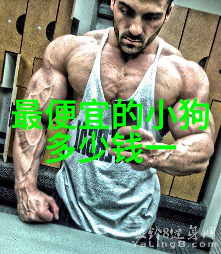 锦鲤对水质有什么要求锦鲤饲养的水质要求