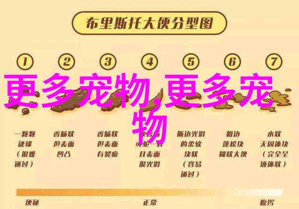 狗狗生产前的征兆