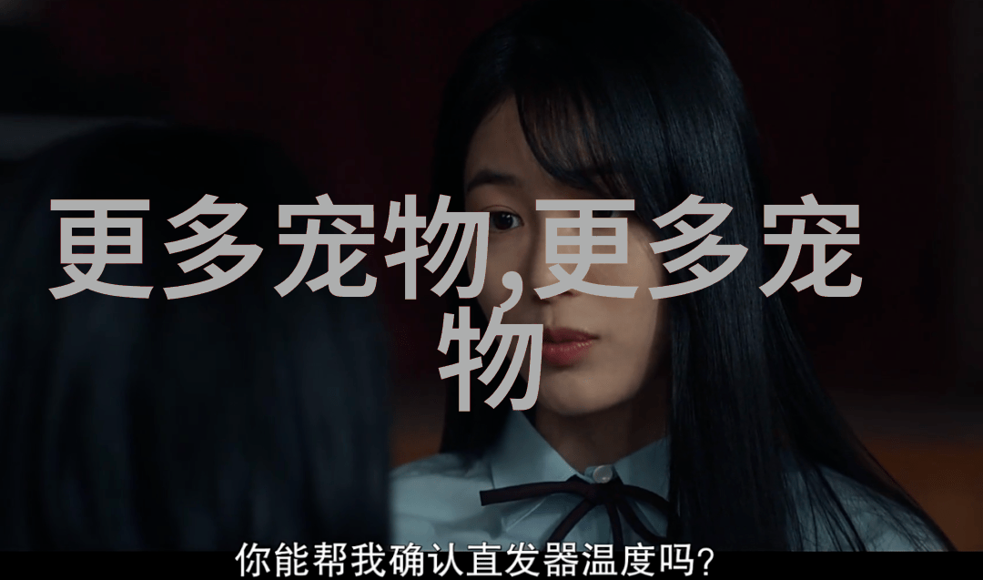 养比熊的缺点