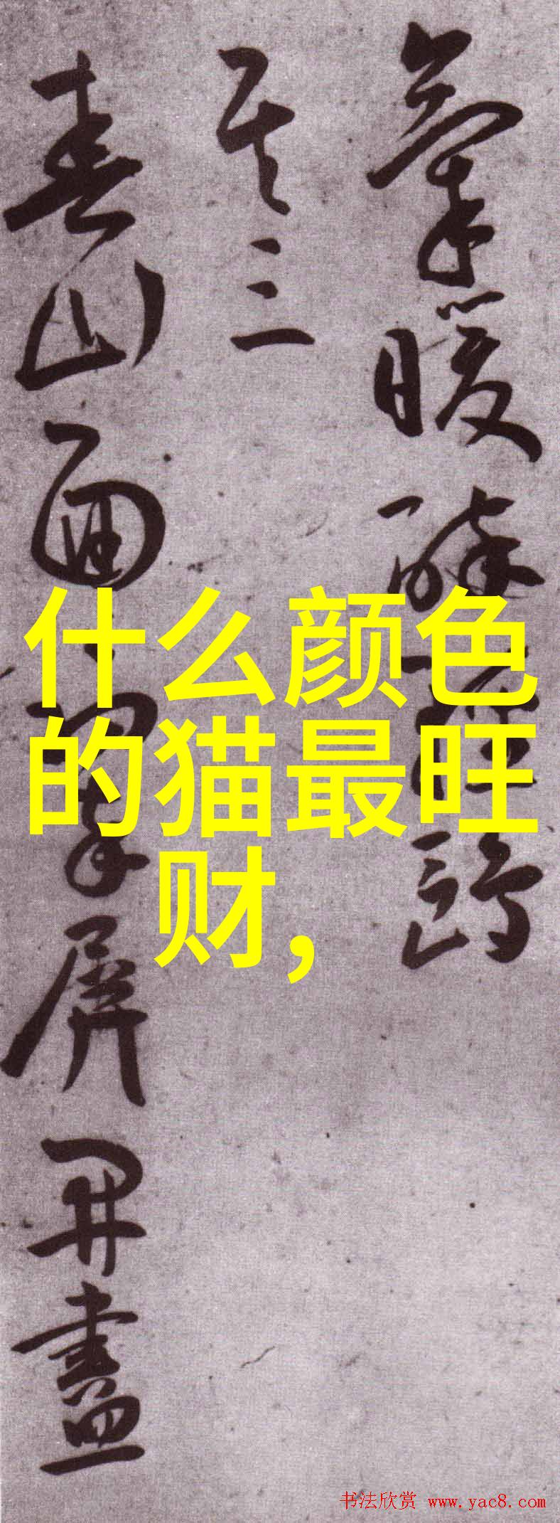 埃及猫品种大全深入了解埃及本土猫咪的优雅风采与独特特点