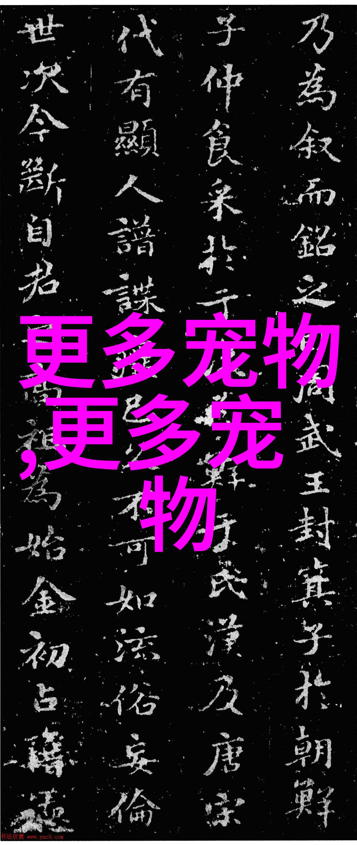 清道夫鱼资料及图片 清道夫怎么养