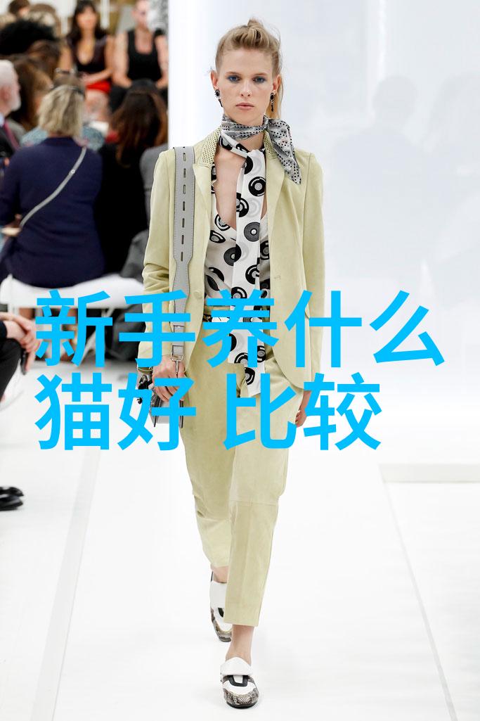 褴褛猫品种介绍 褴褛猫性格如何褴褛猫乖吗