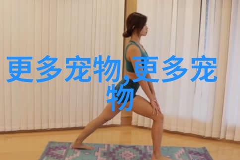养猫可以养洋牡丹吗