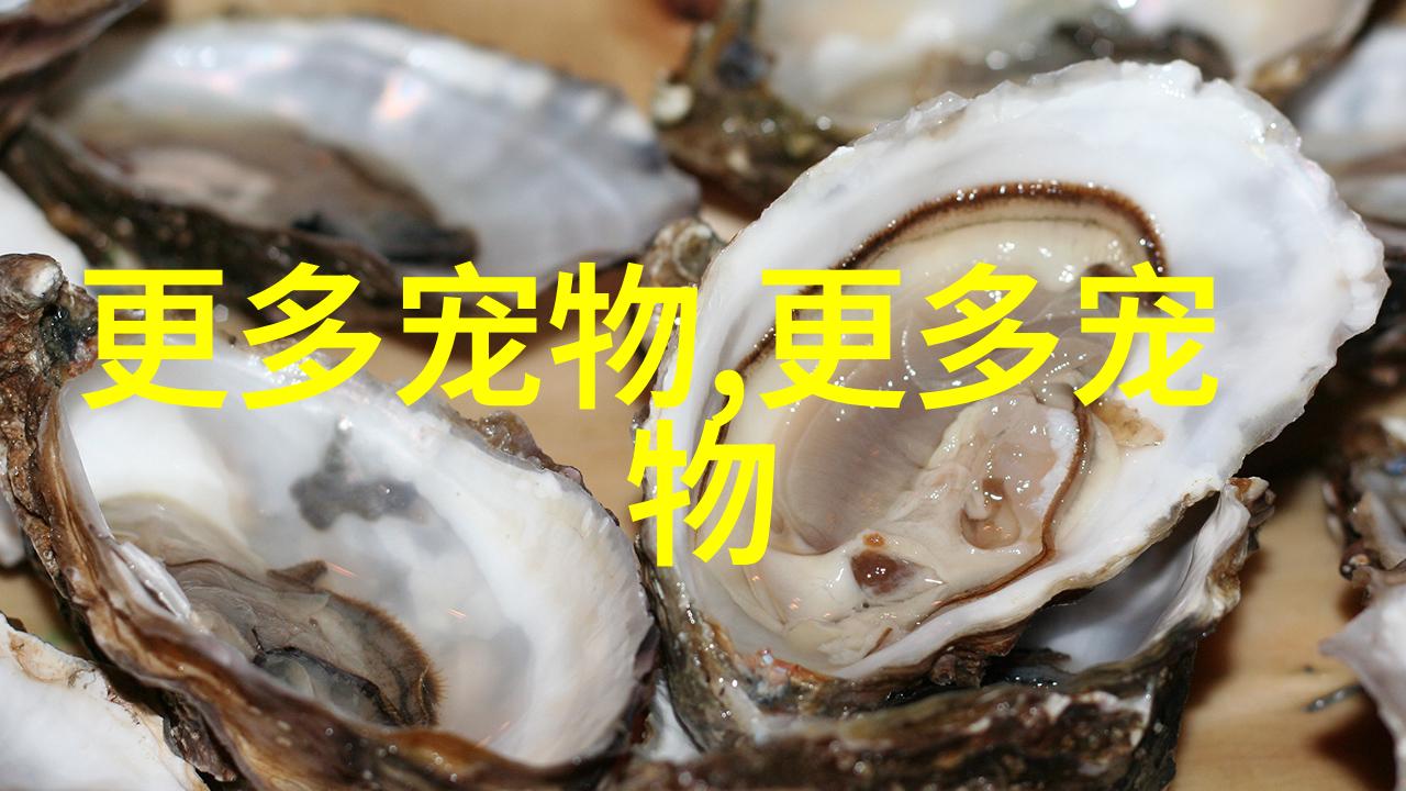 巨贵和泰迪的区别