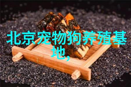 训练狗狗跟脚随行的方法 出门再也不怕它横冲直撞