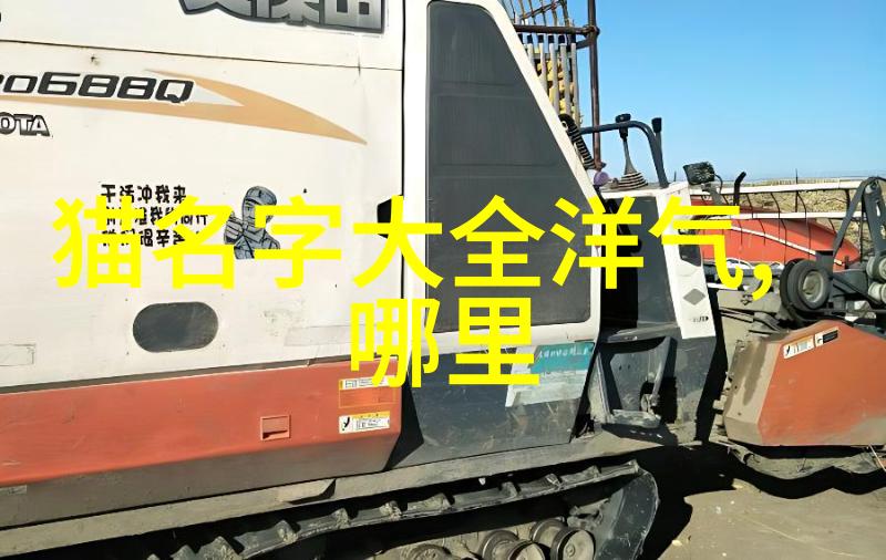和猫咪一起睡好吗