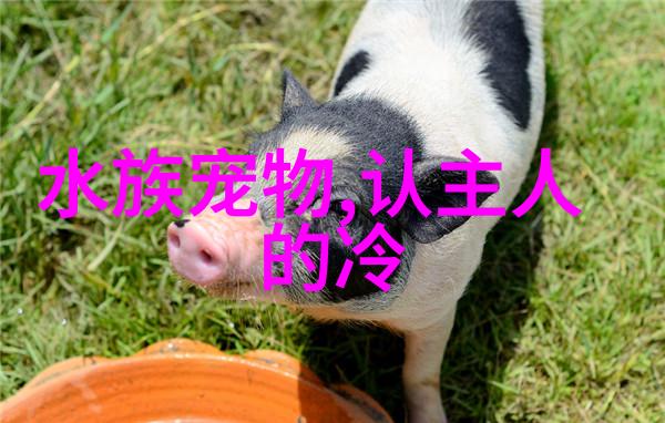 鱼缸可以放在卧室吗鱼缸放在卧室会影响健康吗