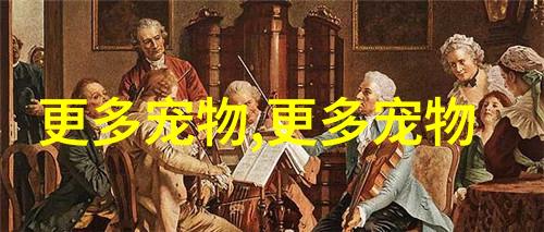 电光美人怎么养