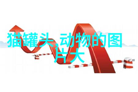 纯种拉布拉多幼犬多少钱一只