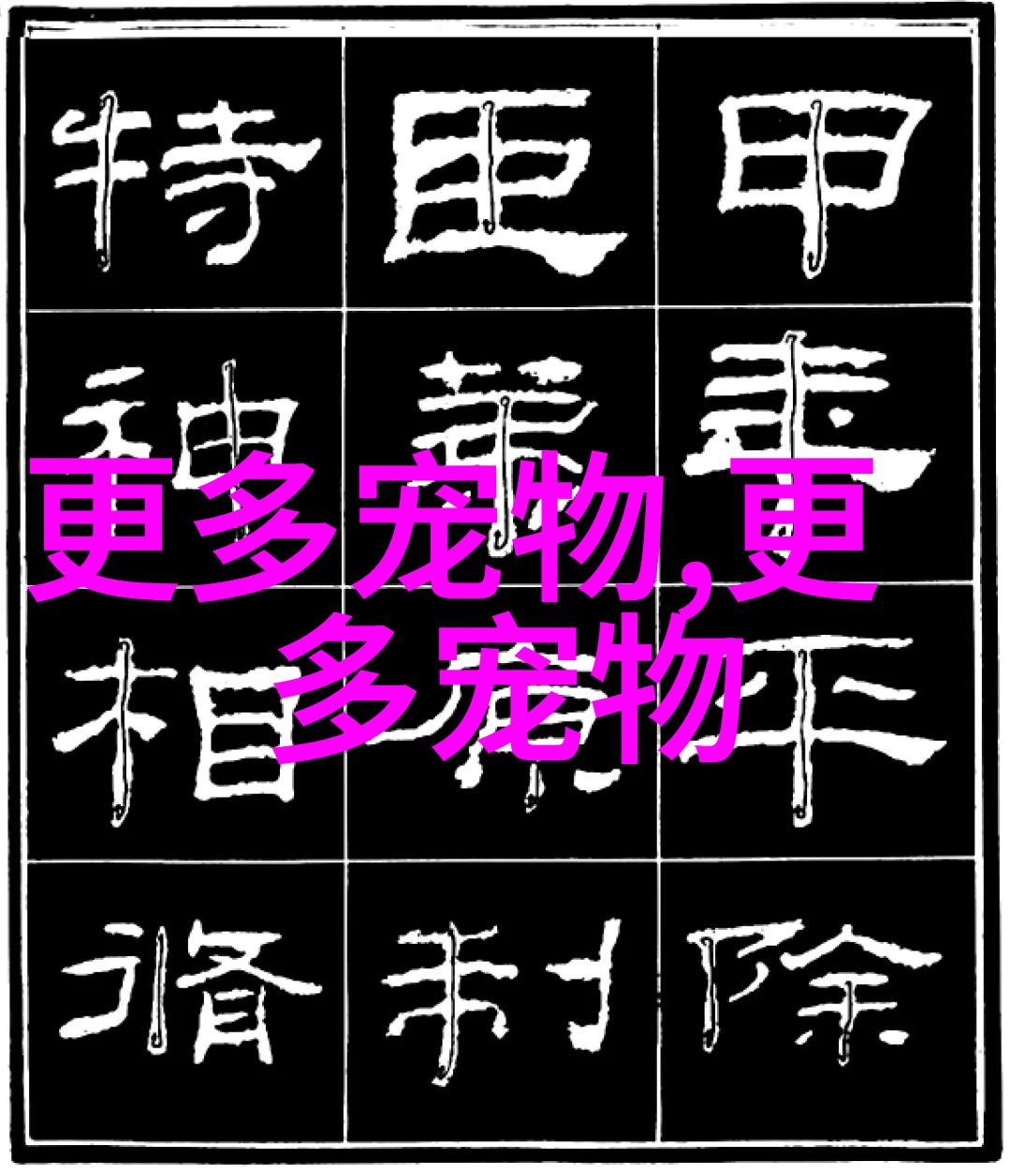 美短猫多少钱一只