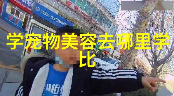 狗狗专用消毒液有哪些