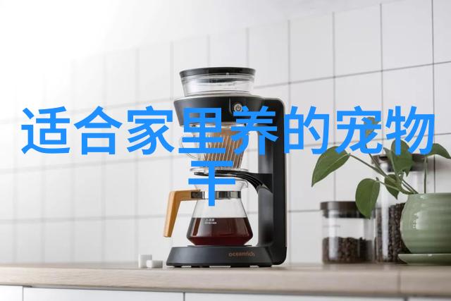 龙睛金鱼品种样貌介绍 龙睛金鱼如何饲养