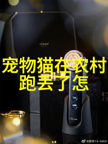 美国卷耳猫品种详解特点历史与养护知识全解析