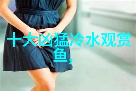 苏拉威西白袜虾资料习性图片 白袜虾苏虾怎么养