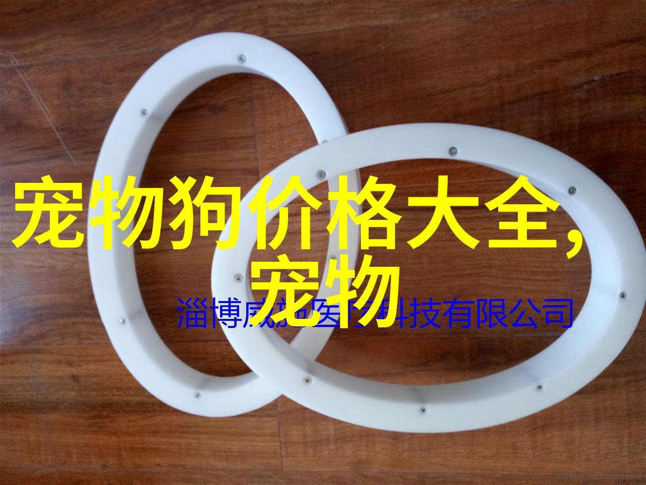 想让金毛犬生宝宝 交配前要做什么准备选什么时间好