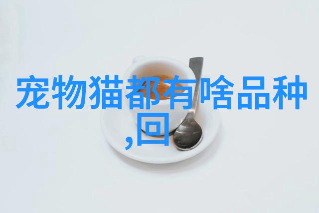 波斯猫平时怎么养波斯猫的饮食要注意什么