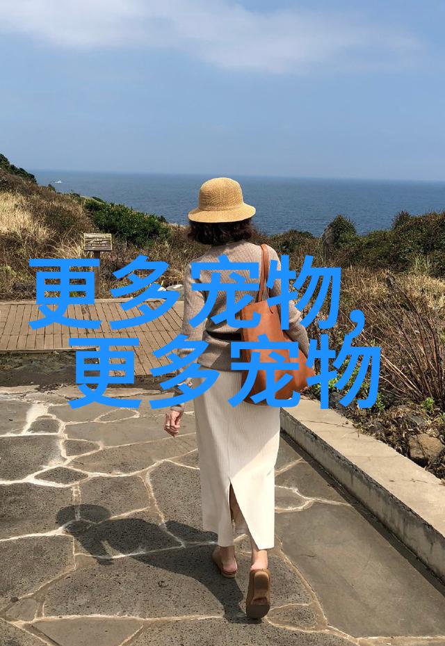 小型宠物犬类品种大全