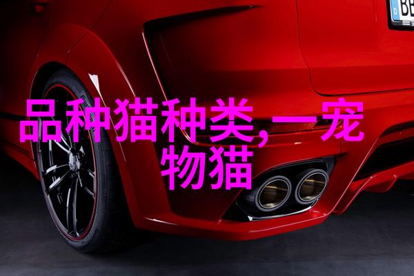 缅因猫好养吗缅因猫粘人吗缅因猫多少钱一只