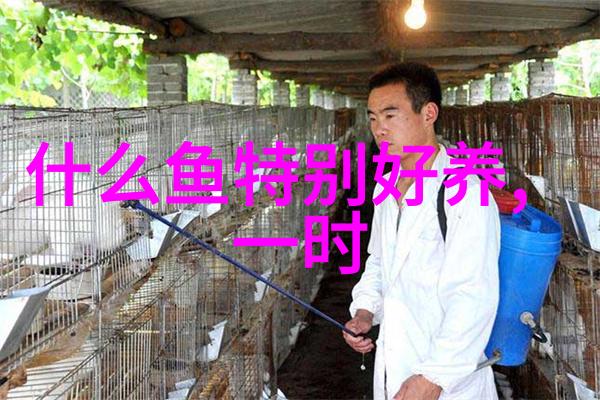 小精灵鱼的基本介绍 小精灵于饲养方法介绍