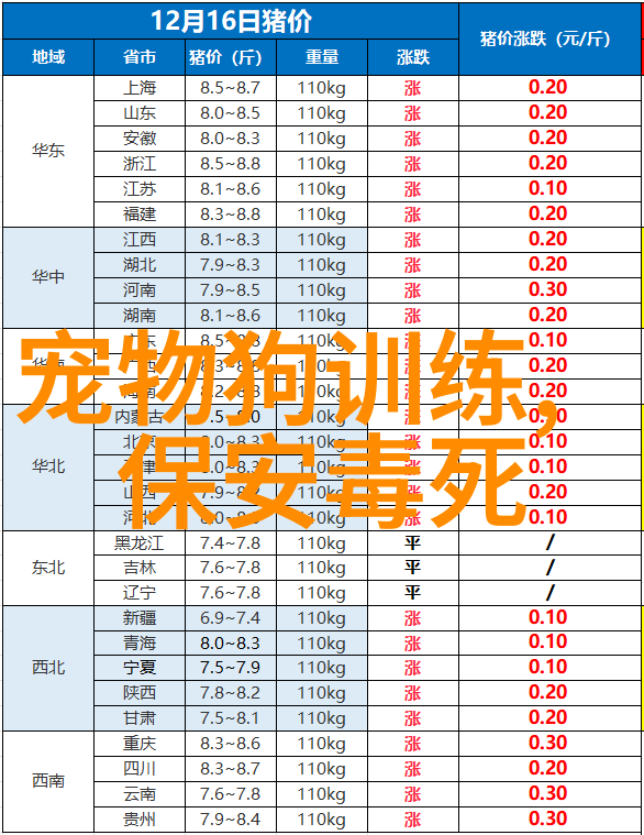 如何训练狗狗只有得到主人允许才能进食